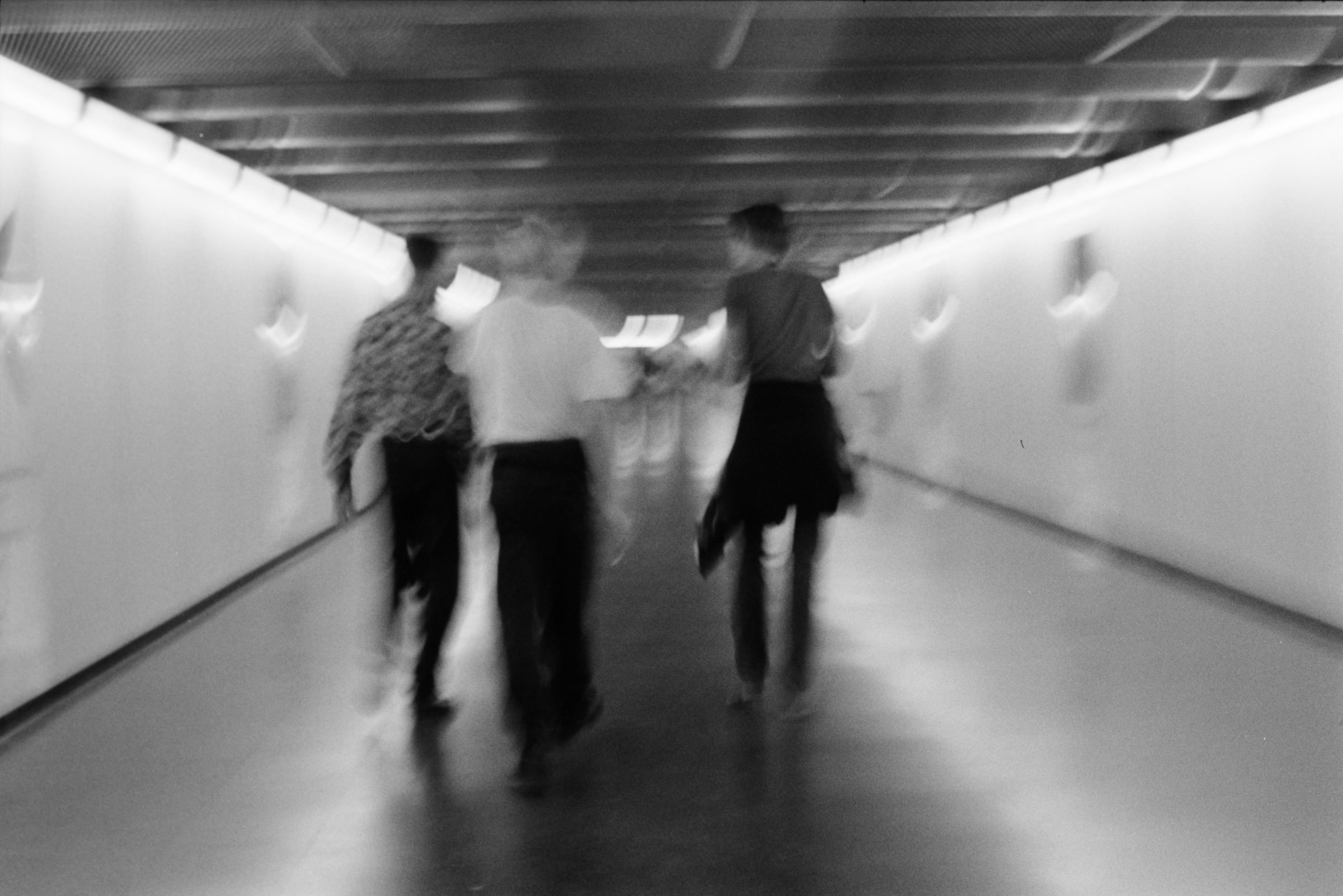 AHP F1995 10 001 sc240815 img16 NLP